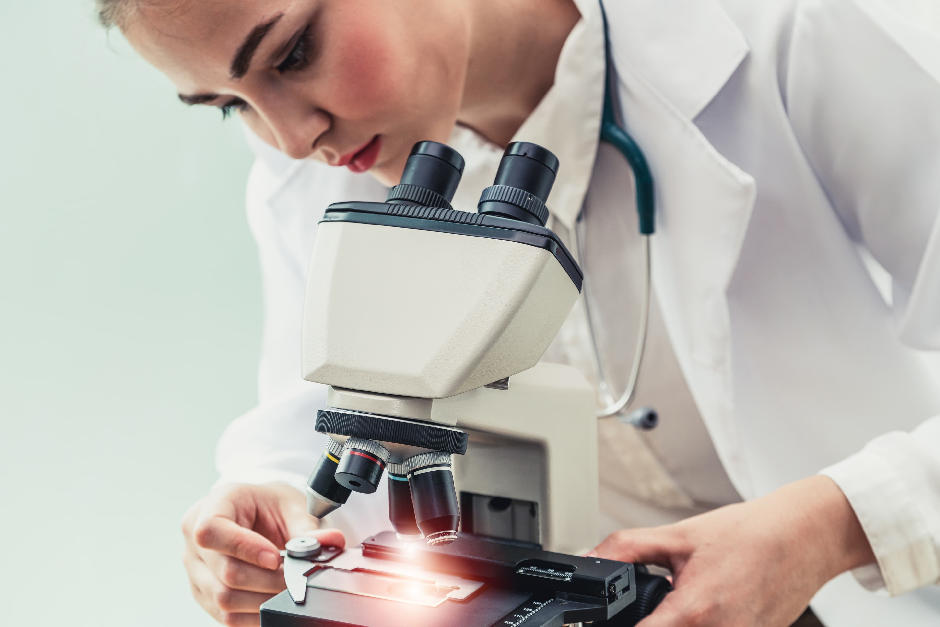 Ako sa efektívne učiť biológiu na prijímačky